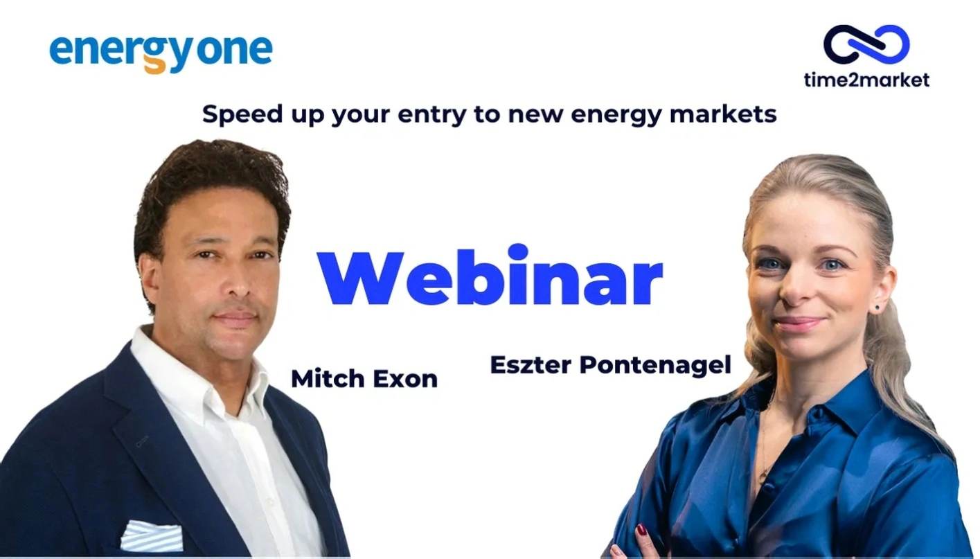 European market entry consultation